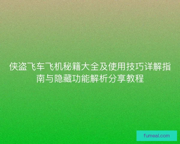 侠盗飞车飞机秘籍大全及使用技巧详解指南与隐藏功能解析分享教程
